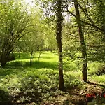 Le Moulin De Monternault 3*