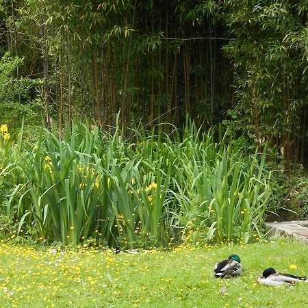 Le Moulin De Monternault 3*