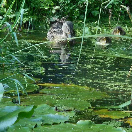 Panzió Le Moulin De Monternault 3*