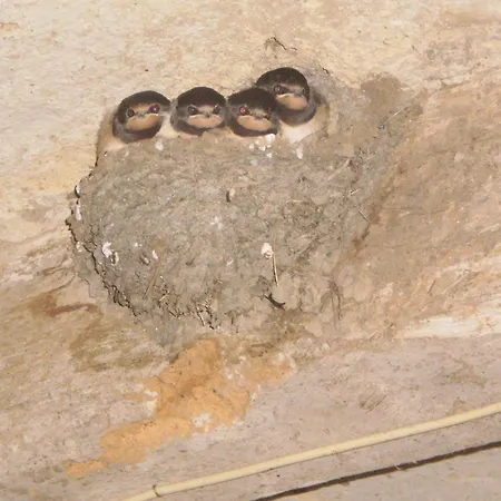 Le Moulin De Monternault