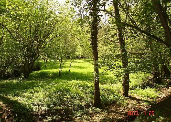 Le Moulin De Monternault 3*