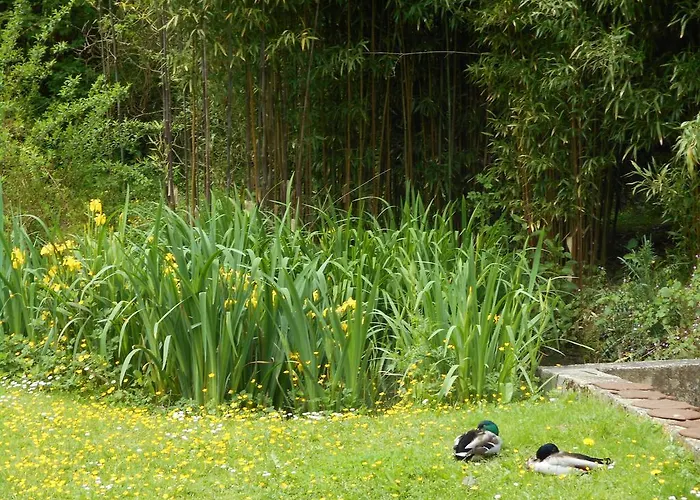 Le Moulin De Monternault 3*