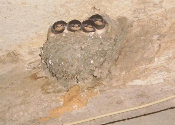 Le Moulin De Monternault